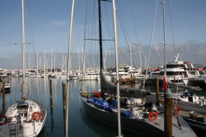 IMG_0013
