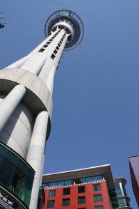 IMG_0025