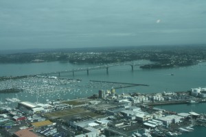 IMG_0029
