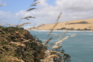 IMG_0275