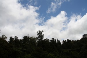 IMG_0295