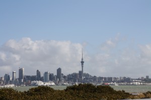 IMG_0306